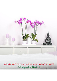 product-img-5