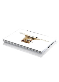 product-img-2