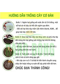 Hạt Giống Bầu Sao Lai F1 Trái Dài, Siêu Đậu Trái, Dễ Trồng - Hạt giống Rạng Đông