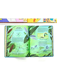 product-img-4