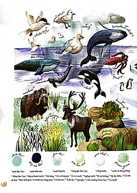 Sách Những Mảnh Ghép Đa Sắc Của Các Hệ Sinh Thái