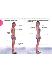 Sách Lò Xo - 15 Phút Tập Lưng (Kèm 1 DVD)