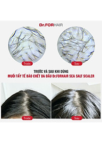 Muối tẩy tế bào chết, làm sạch da đầu Dr.FORHAIR Sea Salt Scaler 300g