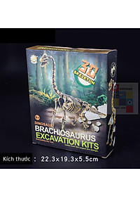 [Có sẵn] Mô hình Khủng Long hóa thạch - truy tìm dấu vết hóa thạch
