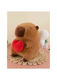 product-img-6