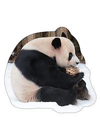 Sách Nhật Ký Hạnh Phúc Của Công Chúa Fubao - Tái Bản