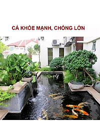 Bông Lọc Bể Cá 8D | 8 Lớp Lọc Nước Siêu Sạch, Hiệu Quả Gấp Đôi