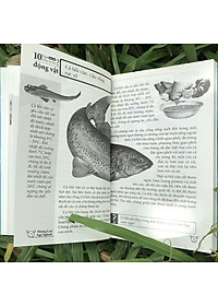 Sách 10 Vạn Điều Lý Thú Về Động Vật - Những Loài Ngộ Nghĩnh