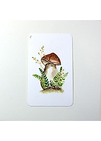 product-img-12