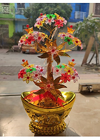 product-img-1