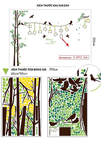 Decal dán tường Cây khung ảnh 9 AmyShop DCX042 (205 x 290cm)