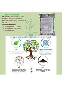 Chế phẩm men vi sinh nấm Trichoderma loại 1kg mã PM027. ĐIỀN TRANG - TRICHO 1000G