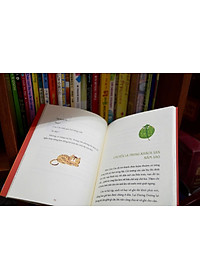 product-img-5
