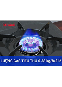 Bếp gas đôi dương Rinnai RV-375 SW(N) (Trắng)- Hàng chính hãng