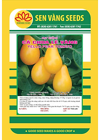 Hạt giống Cà chua Lê Vàng Thái Lan VTS138