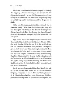 product-img-11