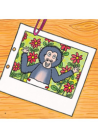 product-img-4