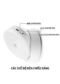 product-img-32