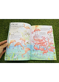 A LÊ HẤP! - THẾ GIỚI CHIM - ĐÔNG A - BẢN CỨNG IN MÀU TOÀN BỘ -