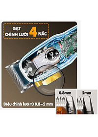 product-img-12