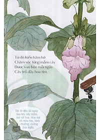 product-img-11