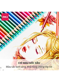 Bút chì màu chuyên nghiệp dạng cốc Deli 24/36/48 màu - 68123/68124/68125