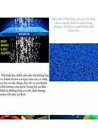 product-img-11