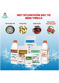 Vemedim Anti-fungi cá đặc trị nấm thủy mi, nhiễm khuẩn mang, nấm trong môi trường ao nuôi, chai 100ml