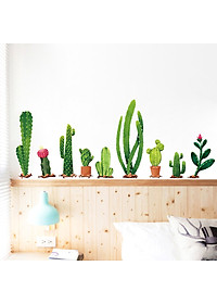 Decal dán tường chậu xương rồng dài XH9312 Flowerdecal