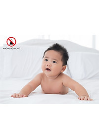 Vợt bắt muỗi Rạng Đông VBM RD.03 có đèn Led chiếu sáng - Hàng chính hãng