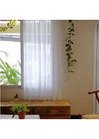 Rèm Voan Trắng Tinh Khiết, Loại 1, Vải Treo Tường Trang Trí Decor Phòng Ngủ