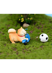 product-img-7