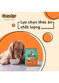 Thức ăn cho chó trưởng thành Ganador vị gà nướng - Adult Roasted Chicken Flavor Combo 5 gói 400gr/gói