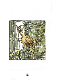 product-img-5