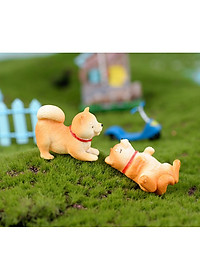 product-img-8