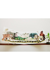 product-img-2