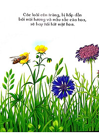 Sách Những Khám Phá Đầu Tiên Của Tớ: Hoa