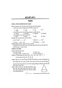 Đề Thi Môn Toán Và Tiếng Việt Vào Lớp 6 (HA-MK)