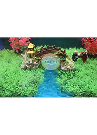 200g ĐÁ XANH PHỦ MỜ LÓT NỀN BỂ CÁ - ĐÁ THẦN KÌ - ĐÁ TRANG TRÍ HỒ CÁ