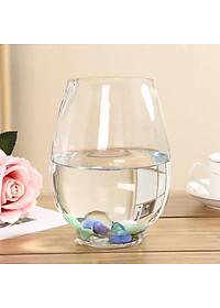 Chậu thuỷ tinh miệng khum chuyên dùng trồng cây thủy sinh, thủy canh, bình nuôi cá để bàn