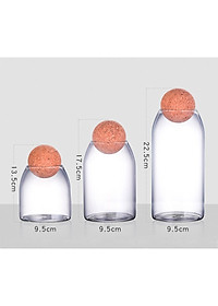 Bình Bảo Quản Thực Phẩm Bằng Thủy Tinh Có Nút Gỗ Kín