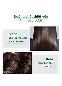 product-img-10