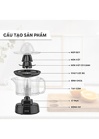 Máy vắt cam mini Lebenlang LBL3383 công suất 40W, dung tích 500ml, bảo hành 2 năm - hàng chính hãng