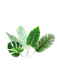 product-img-0
