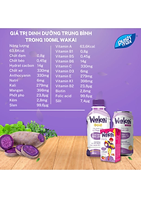 Thùng 24 Lon Sữa Chua Uống Từ Thực Vật Wakai Active (250ml x 24 lon)