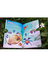 product-img-4