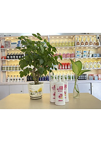 product-img-7