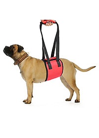 product-img-10