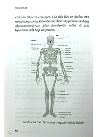 product-img-14