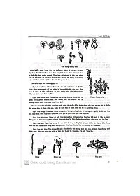 product-img-7